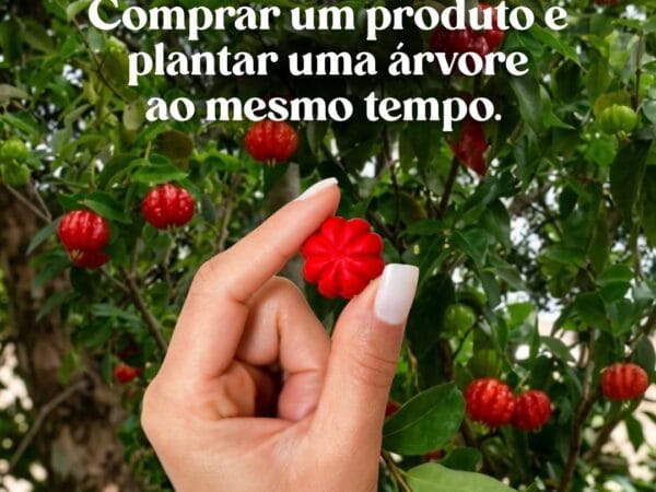 🌍 Semana da Terra: Como o Consumo Consciente Pode Transformar o Planeta Todos os Dias