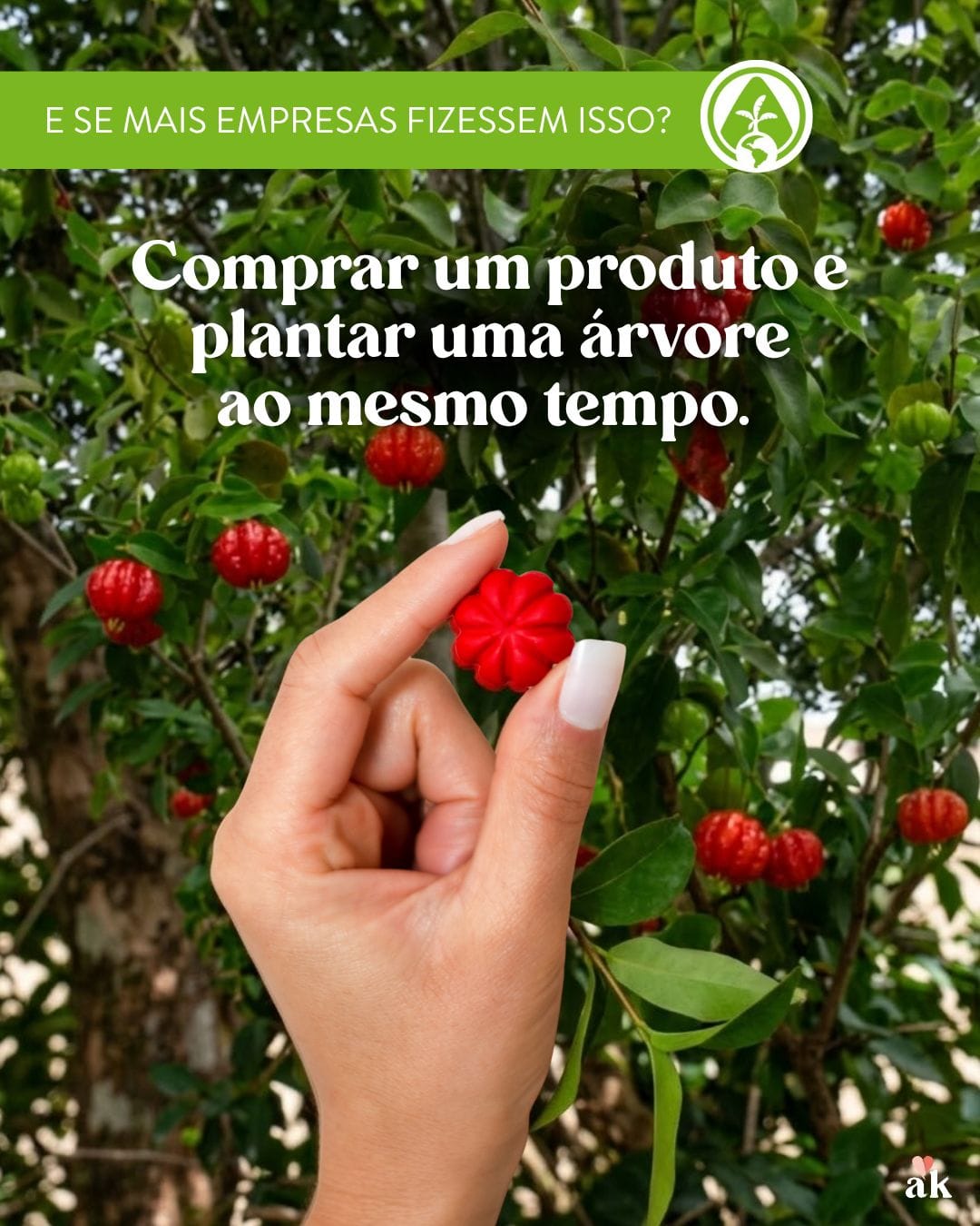 🌍 Semana da Terra: Como o Consumo Consciente Pode Transformar o Planeta Todos os Dias